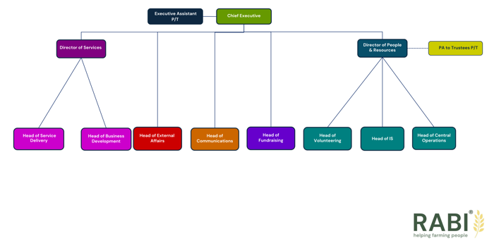 RABI Director of People and Resources team organisational chart